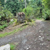 Review photo of Deception Pass State Park Campground by Barry  L., May 4, 2021