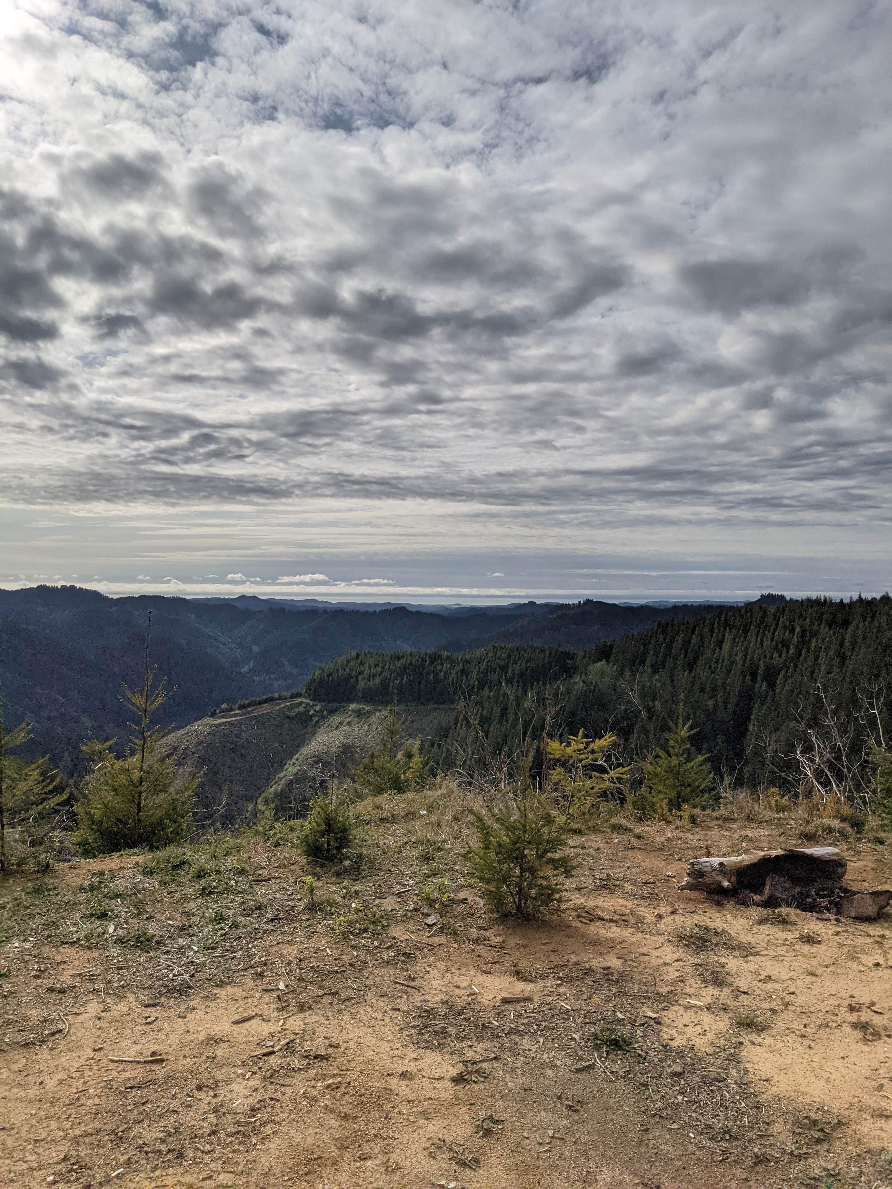 Camper submitted image from Elliott State Forest Dispersed - 1