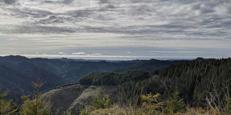 Camper submitted image from Elliott State Forest Dispersed