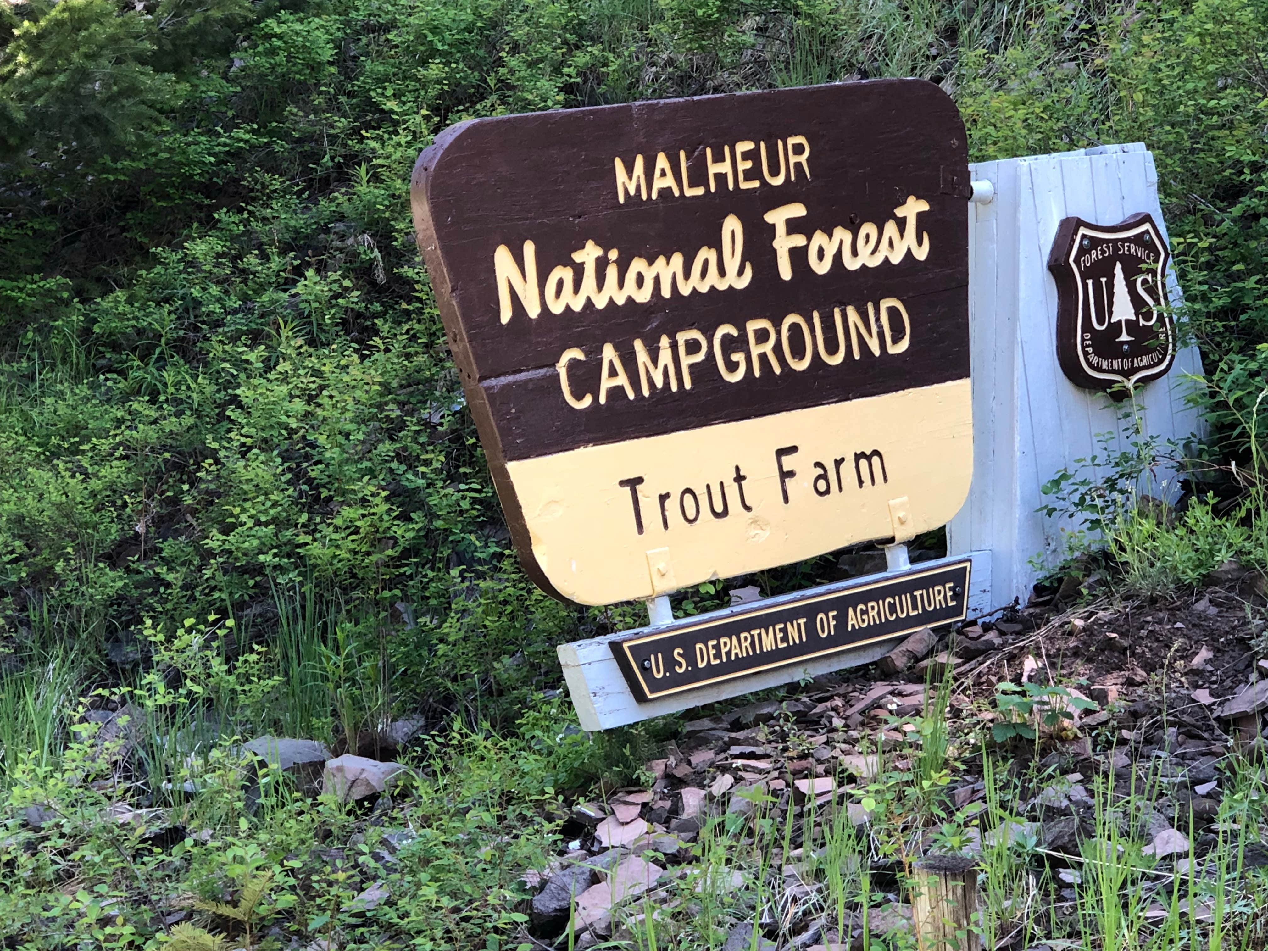 Camper-submitted photo at Trout Farm near Malheur National Forest