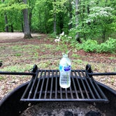Review photo of Red Oak Campground — James River State Park by Scott F., May 4, 2021