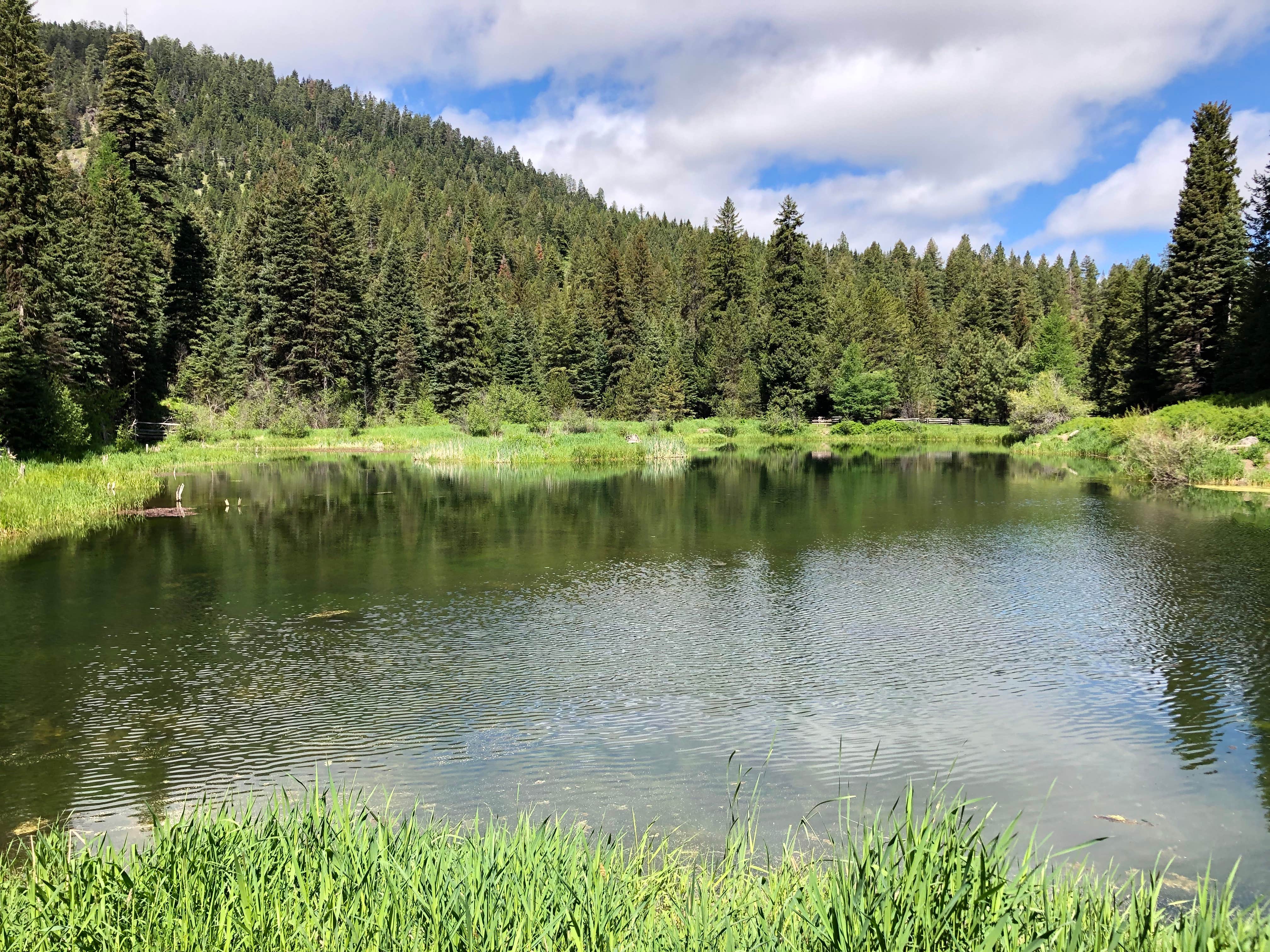 Camper-submitted photo at Trout Farm near Malheur National Forest