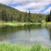 Review photo of Trout Farm by Kate W., June 1, 2018