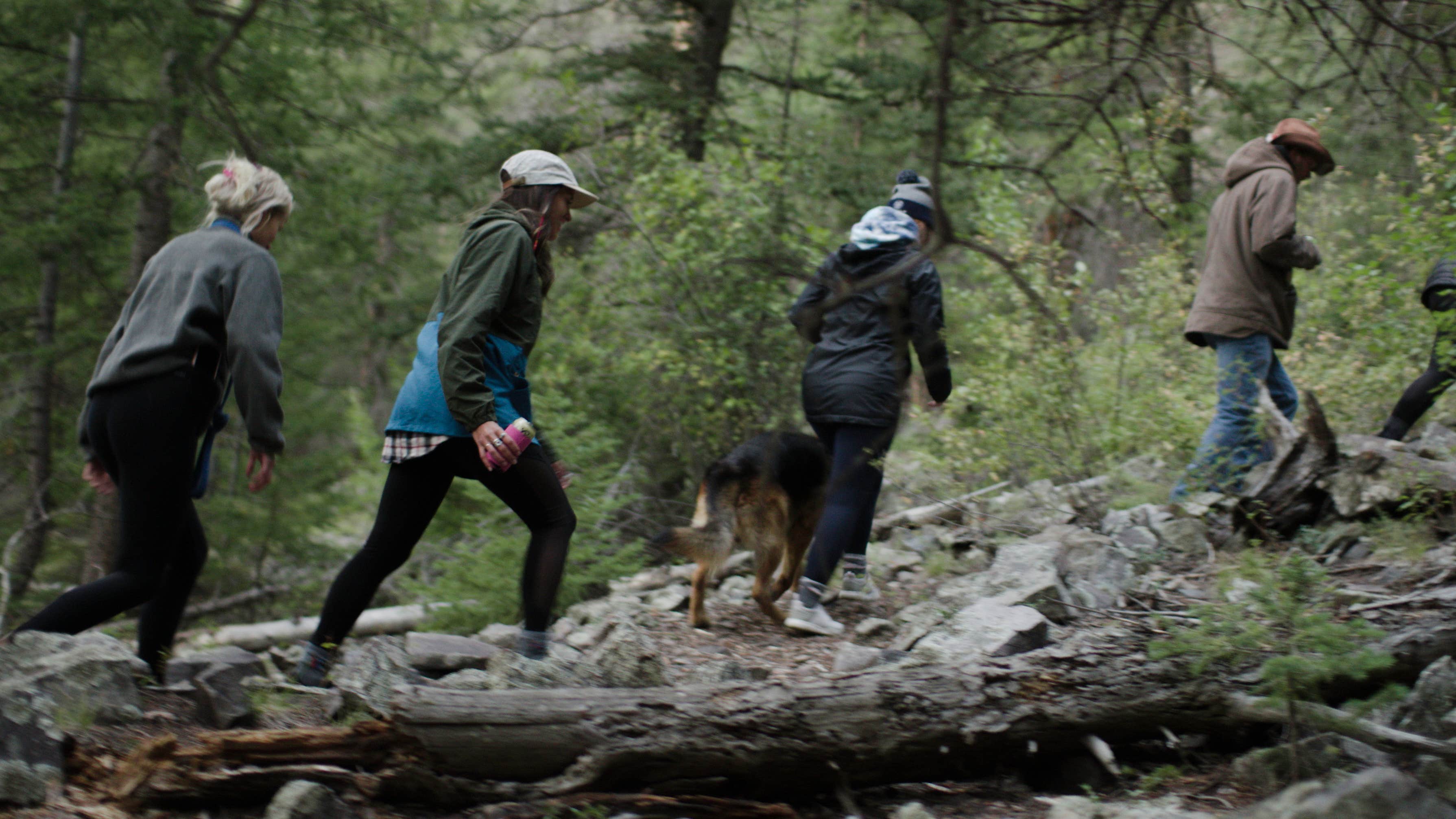 Sam D.'s photo of camping with pets at Campfire Ranch on the Taylor near Crested Butte, CO
