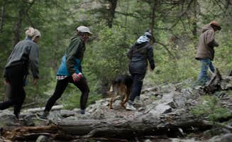 Sam D.'s photo of camping with pets at Campfire Ranch on the Taylor in Colorado