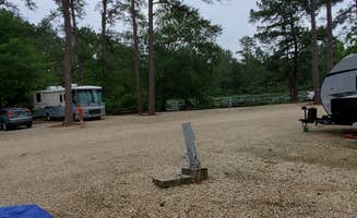 Beverley  D.'s photo at Abita Springs RV Resort in Louisiana