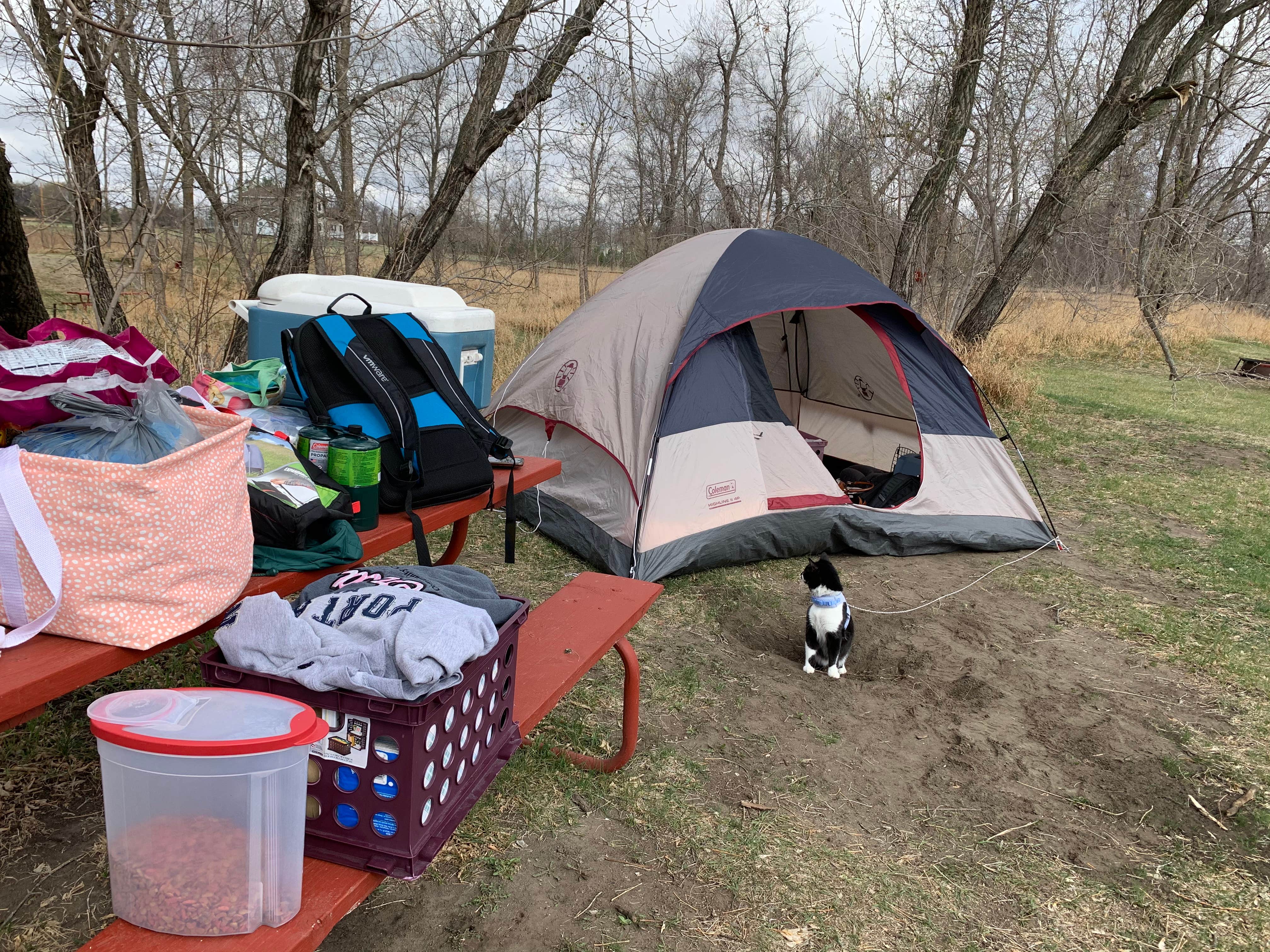 Camper-submitted photo at Roughrider RV Resort near Kenmare, ND