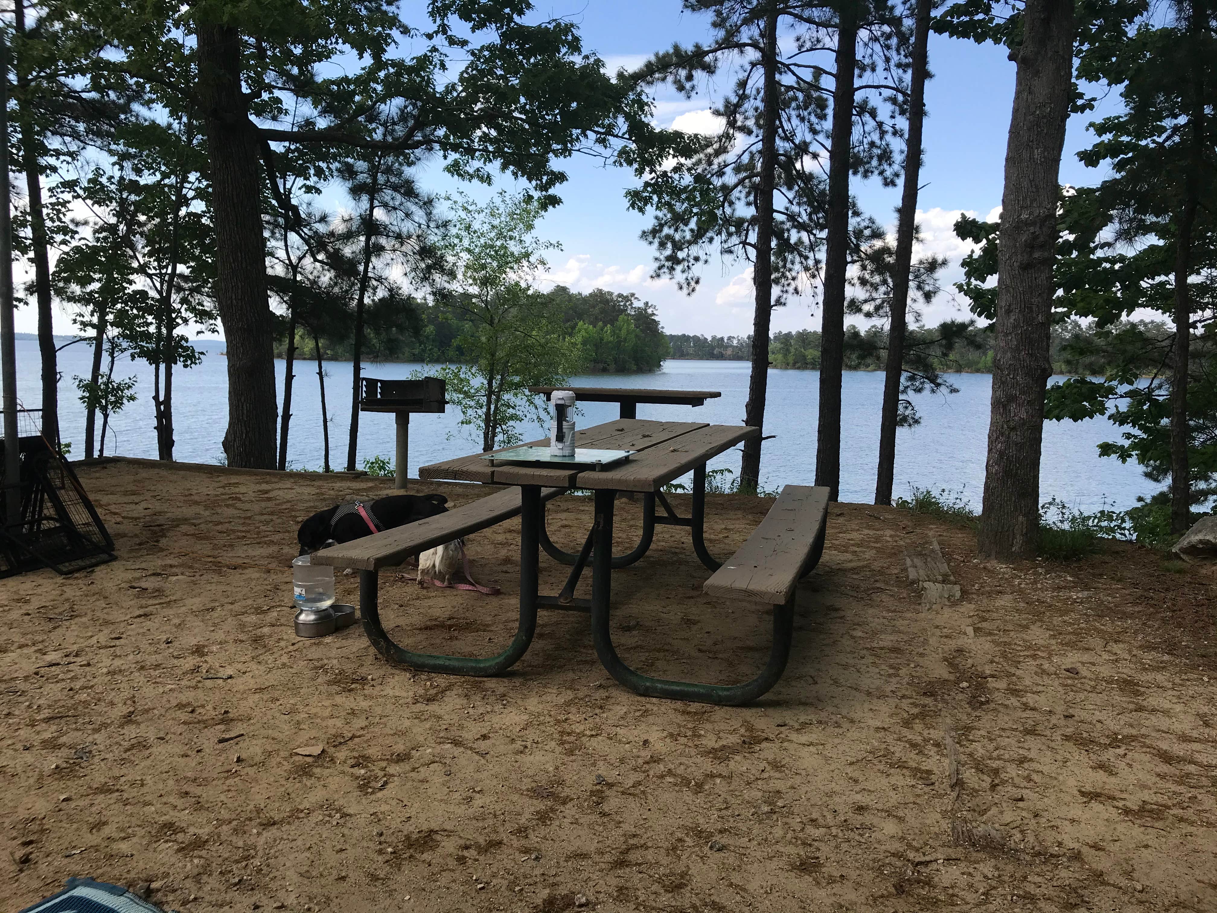 Petersburg campground on sale