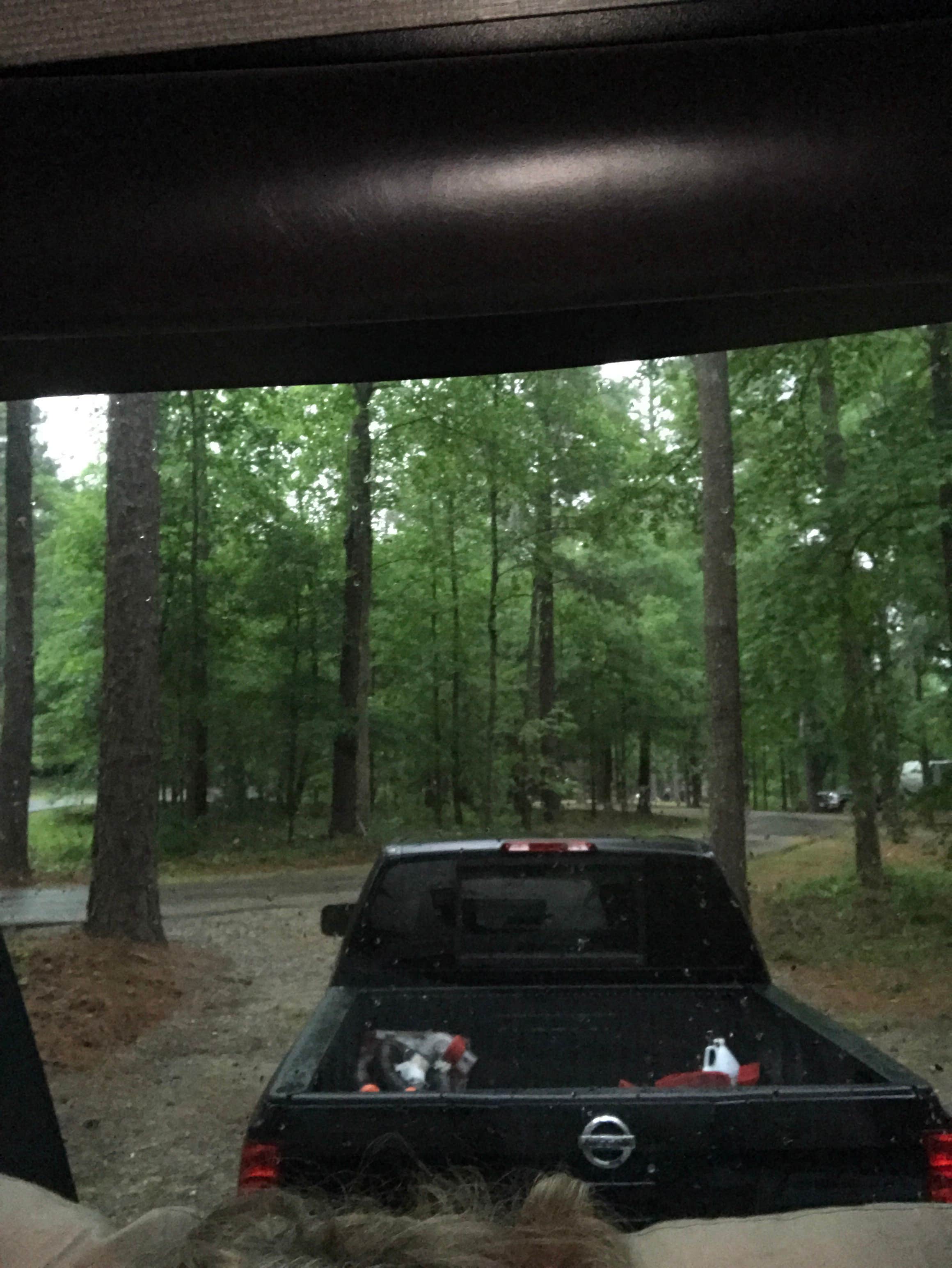 View All