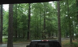 Candy H.'s photo of camping with pets at Coneross Park Campground near Hartwell Lake