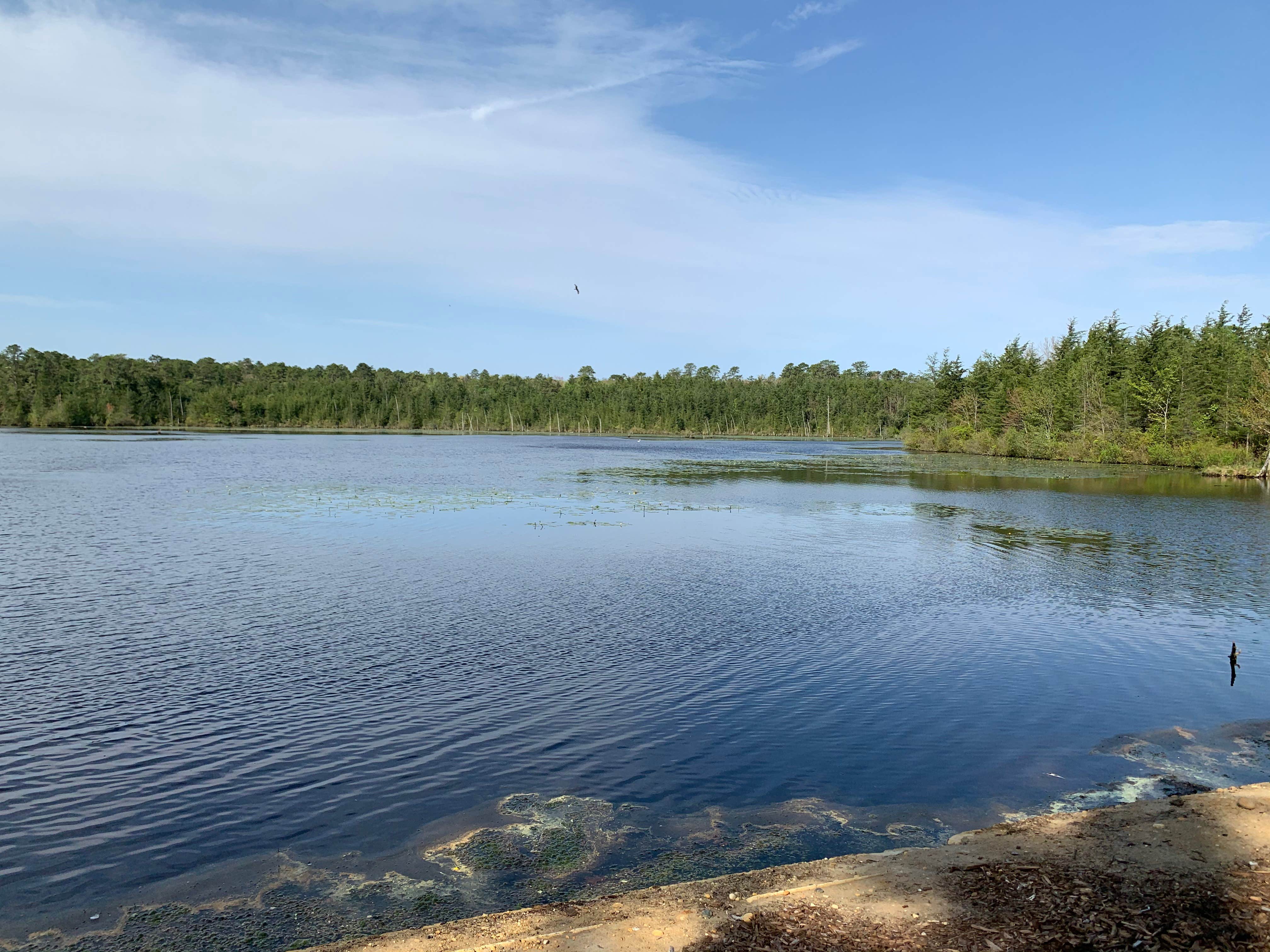 Hospitality Creek Campground The Dyrt