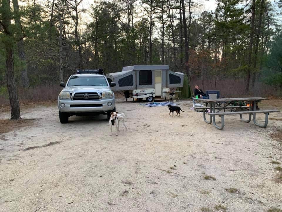Danielle's photo of camping with pets at Bass River State Forest near Wall, NJ