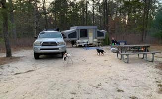 Danielle's photo of camping with pets at Bass River State Forest near Toms River, NJ