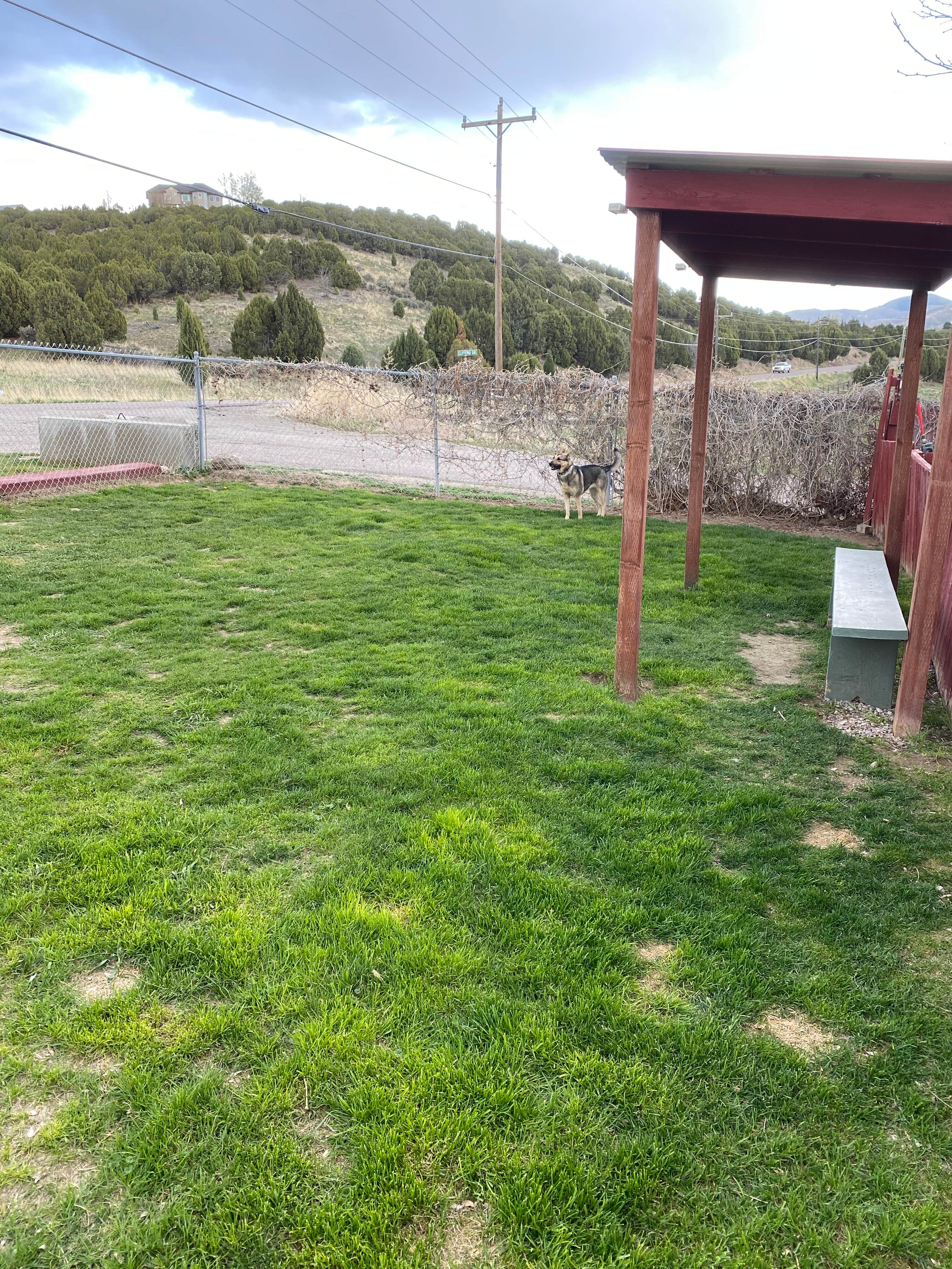 Camper submitted image from Pocatello KOA - 2
