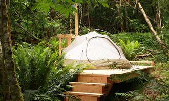 Camping near Olympic Wilderness Basecamp: Harmony Hill, Union, Washington