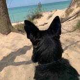 Review photo of Dunewood Campground — Indiana Dunes National Park by Jacob K., May 5, 2021