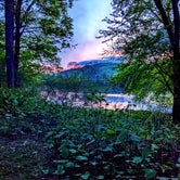 Review photo of Worthington State Forest Campground — Delaware Water Gap National Recreation Area by Kathleen M., May 5, 2021