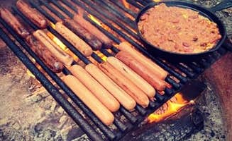 Rachel C.'s photo of camping with pets at Oak Point Campground near Paducah, KY