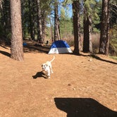 Review photo of Algoma Campground by Chase , May 5, 2021