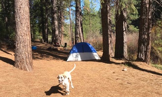 Camping near Camp 4 Group Campsite and Day Use Area: Algoma Campground, McCloud, California