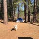 Algoma Campground