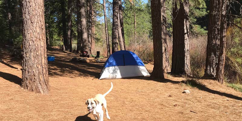 Camper submitted image from Algoma Campground