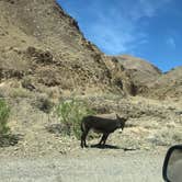 Review photo of Wildrose - Death Valley National Park by Chase , May 5, 2021