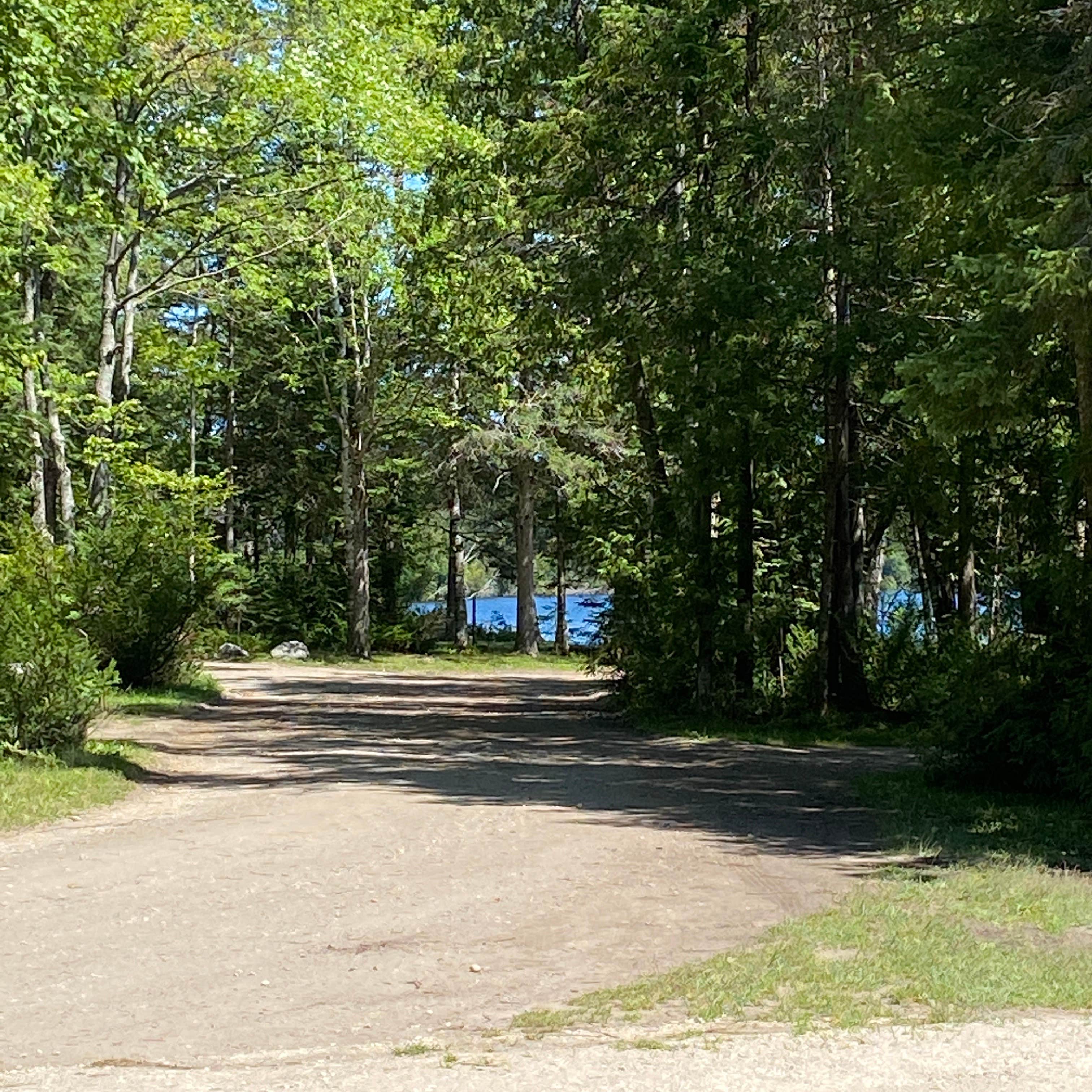 Camper submitted image from Little Brevort Lake North State Forest Campground - 4