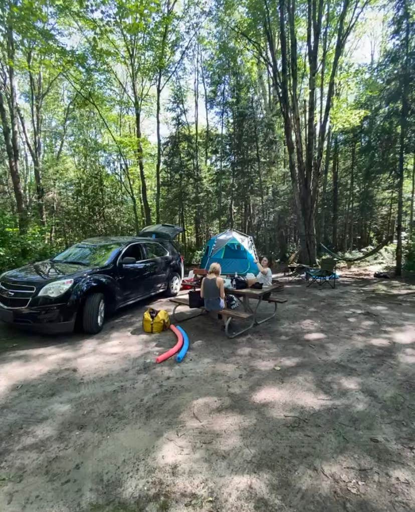 Camper submitted image from Little Brevort Lake North State Forest Campground - 2