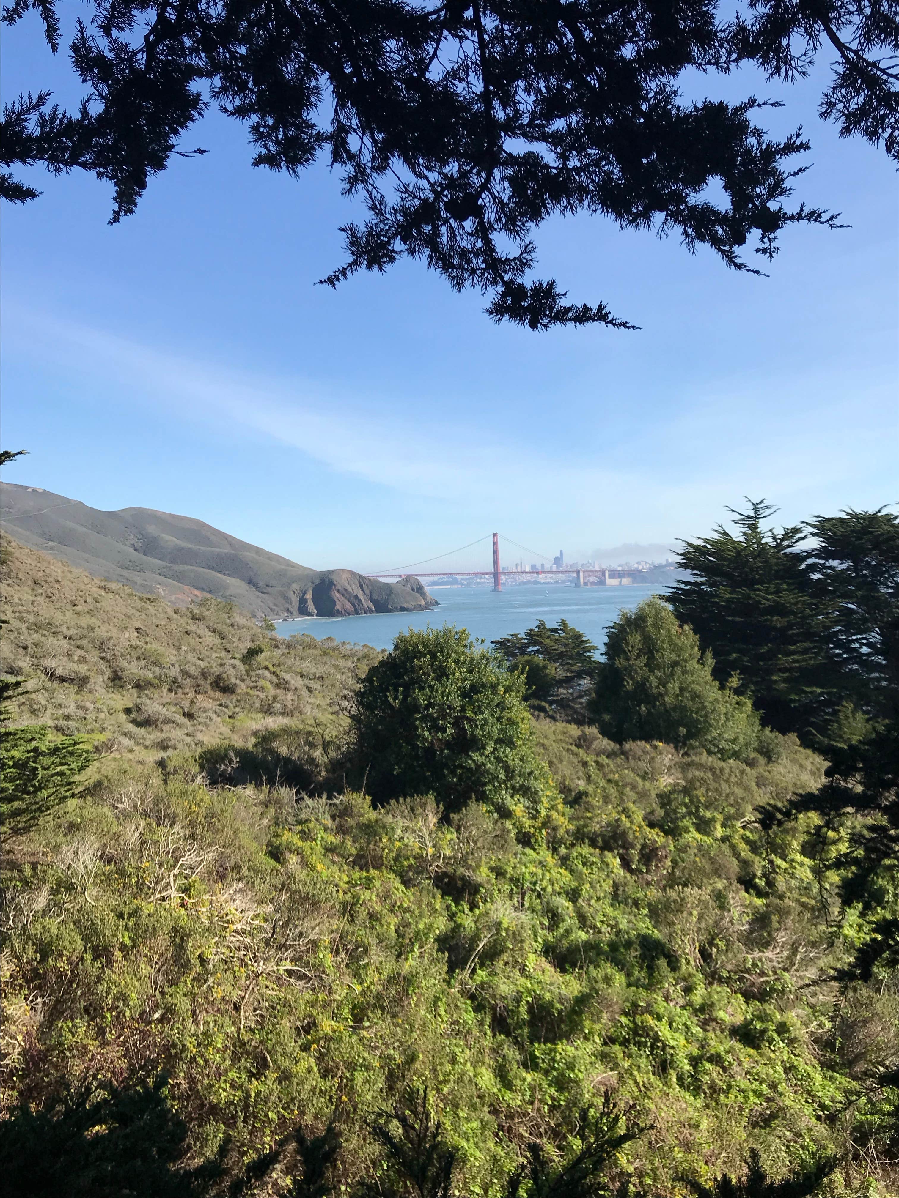 Camper submitted image from Bicentennial Campground — Golden Gate National Recreation Area - 2