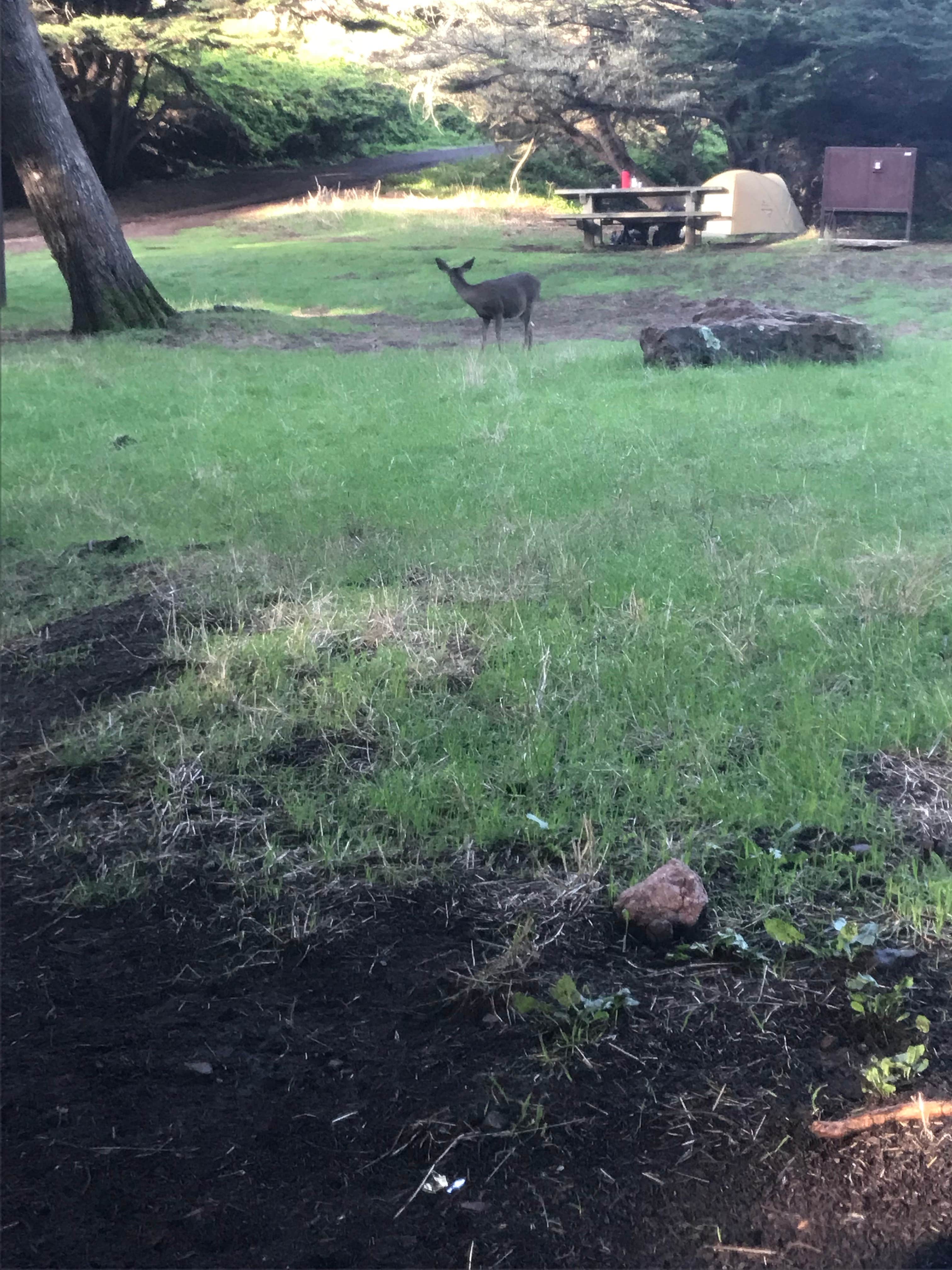 undefined photo 2