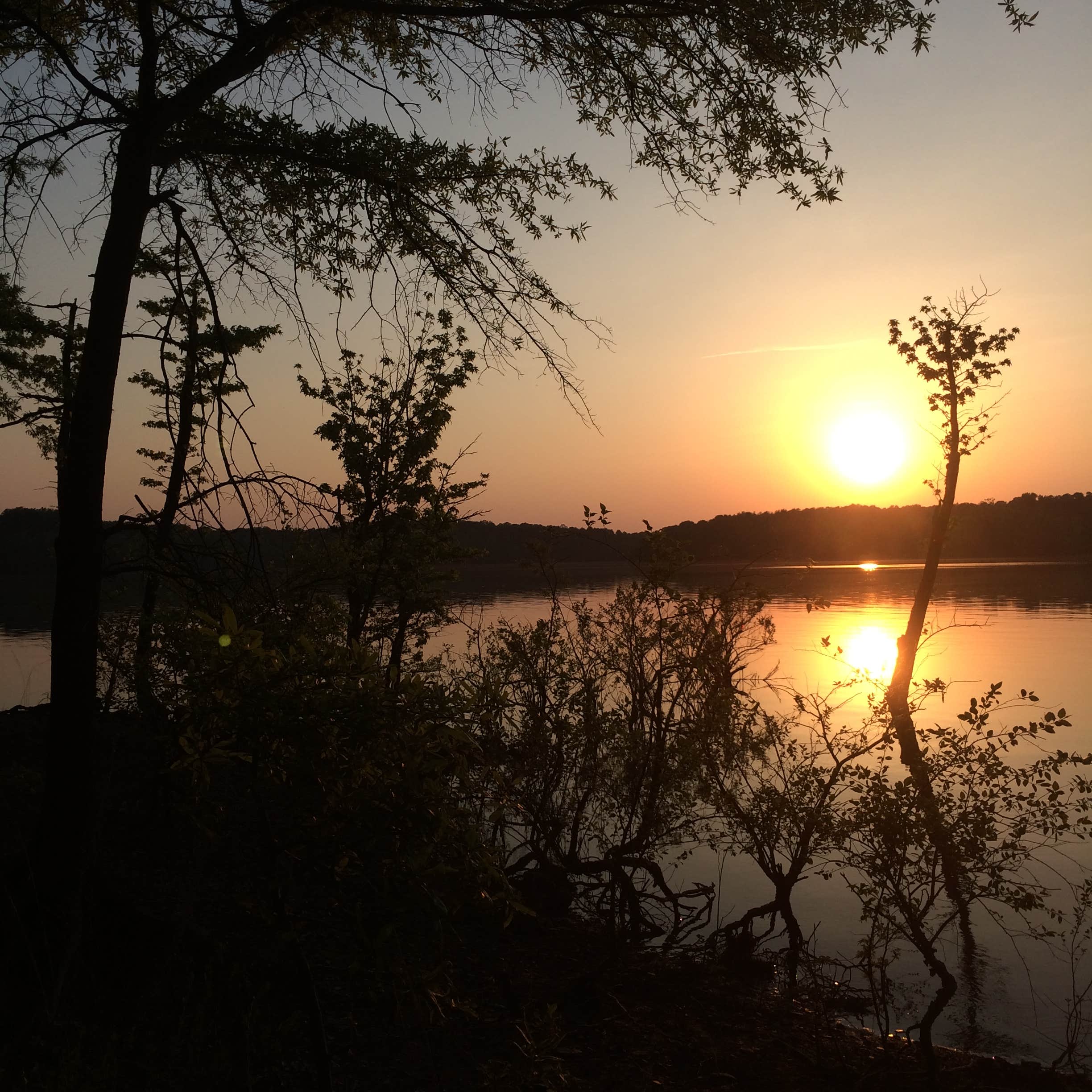 Rudds Creek Campground Camping The Dyrt
