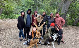 Monika V.'s photo of camping with pets at Julia Pfeiffer Burns Environmental Camping — Julia Pfeiffer Burns State Park near Lucia, CA