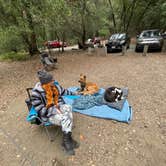 Review photo of Julia Pfeiffer Burns Environmental Camping — Julia Pfeiffer Burns State Park by Monika V., May 5, 2021