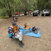 Review photo of Julia Pfeiffer Burns Environmental Camping — Julia Pfeiffer Burns State Park by Monika V., May 5, 2021