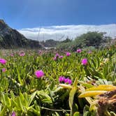 Review photo of Julia Pfeiffer Burns Environmental Camping — Julia Pfeiffer Burns State Park by Monika V., May 5, 2021