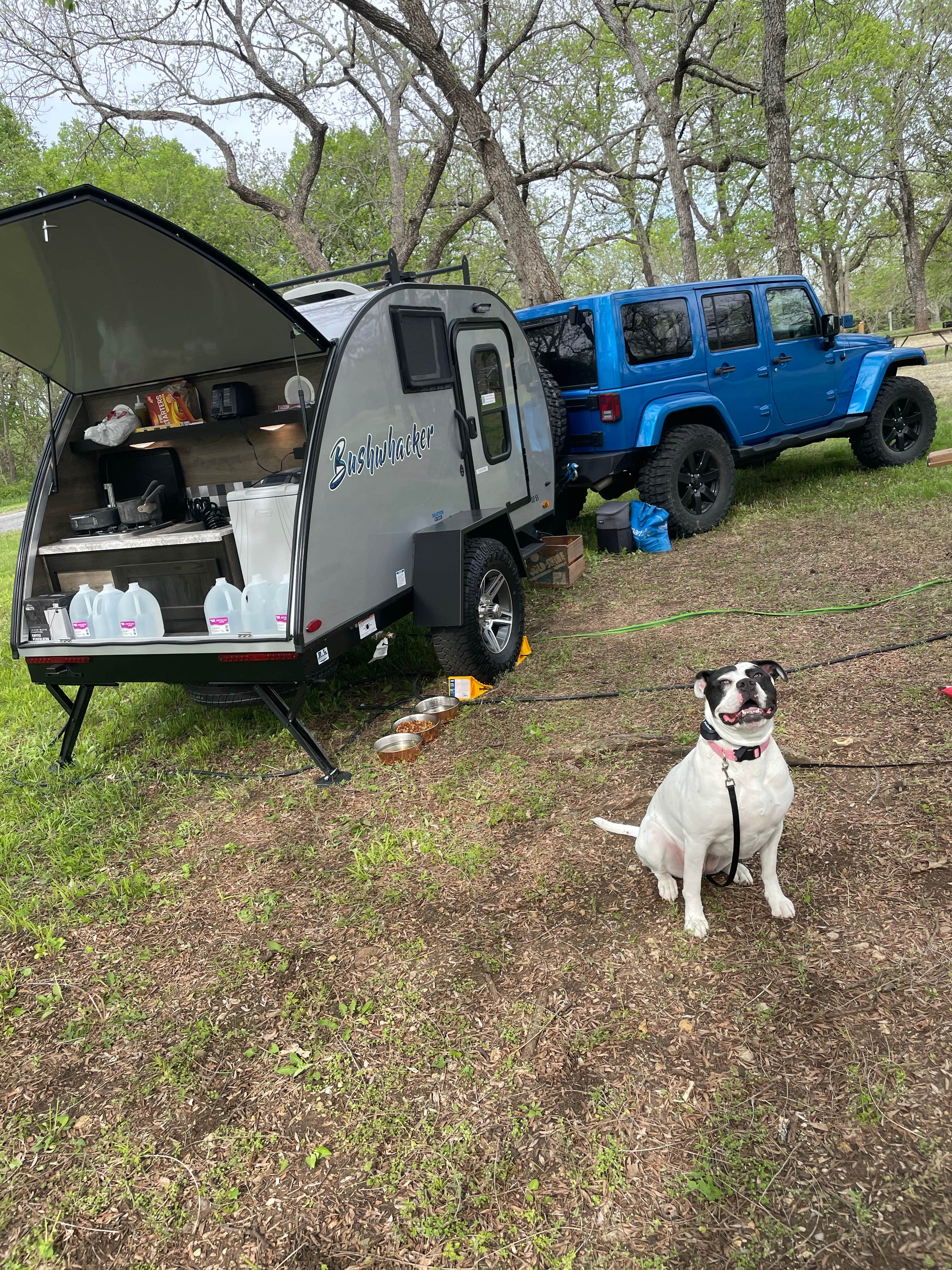 Camper submitted image from Carbolyn Park - 3