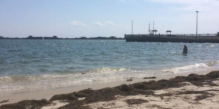 Camper submitted image from Kiptopeke State Park Campground