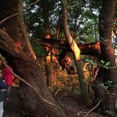 Review photo of Kiptopeke State Park Campground by Marcy S., June 2, 2018