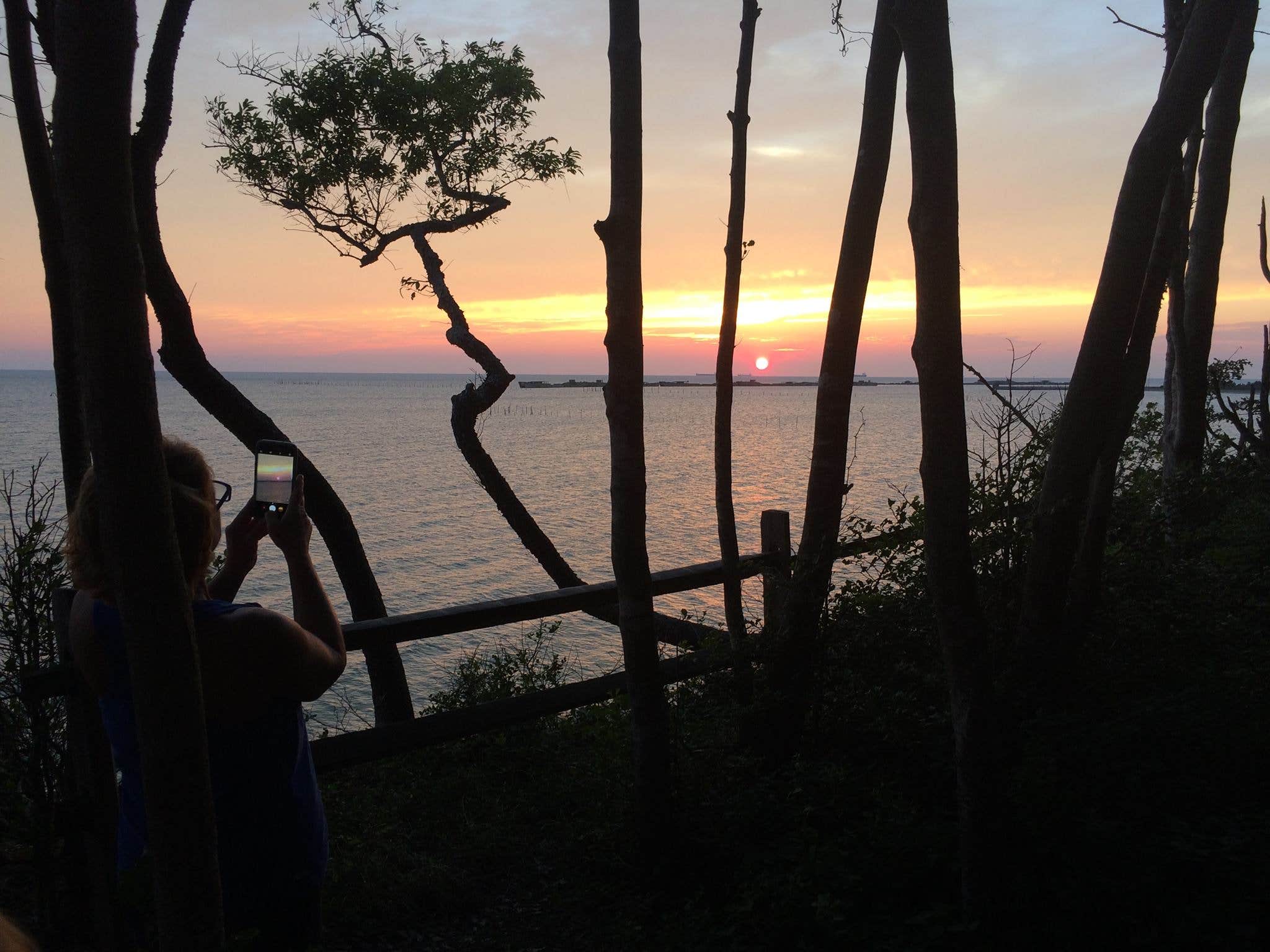 Camper-submitted photo at Kiptopeke State Park Campground in Virginia