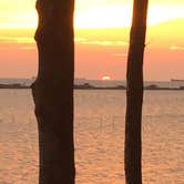 Review photo of Kiptopeke State Park Campground by Marcy S., June 2, 2018