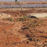 Review photo of Springfield - Hartwell Lake by Marcy S., June 2, 2018