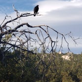 Review photo of Potrero County Park by Cassie O., May 5, 2021