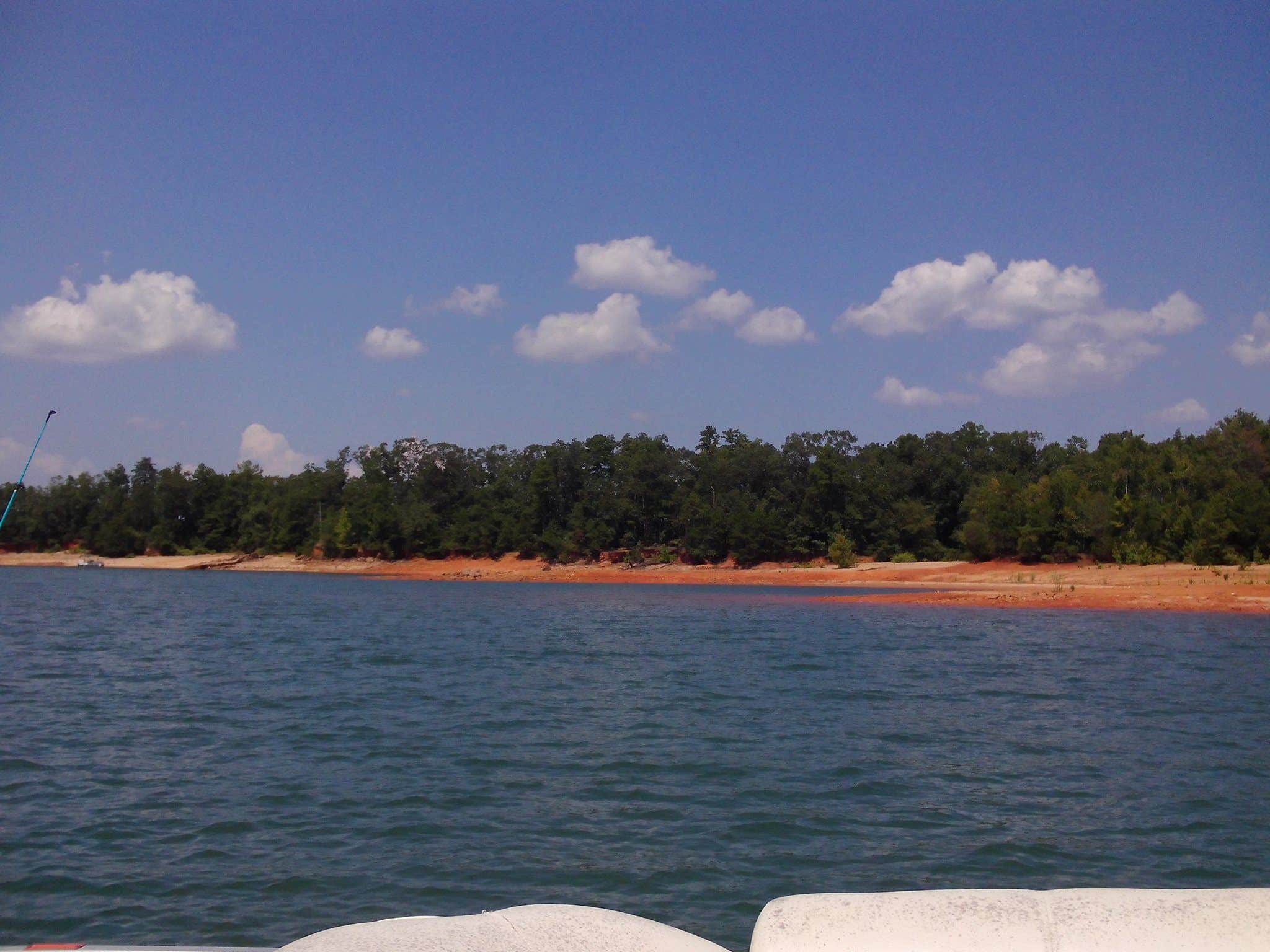 Camper submitted image from Springfield - Hartwell Lake - 3