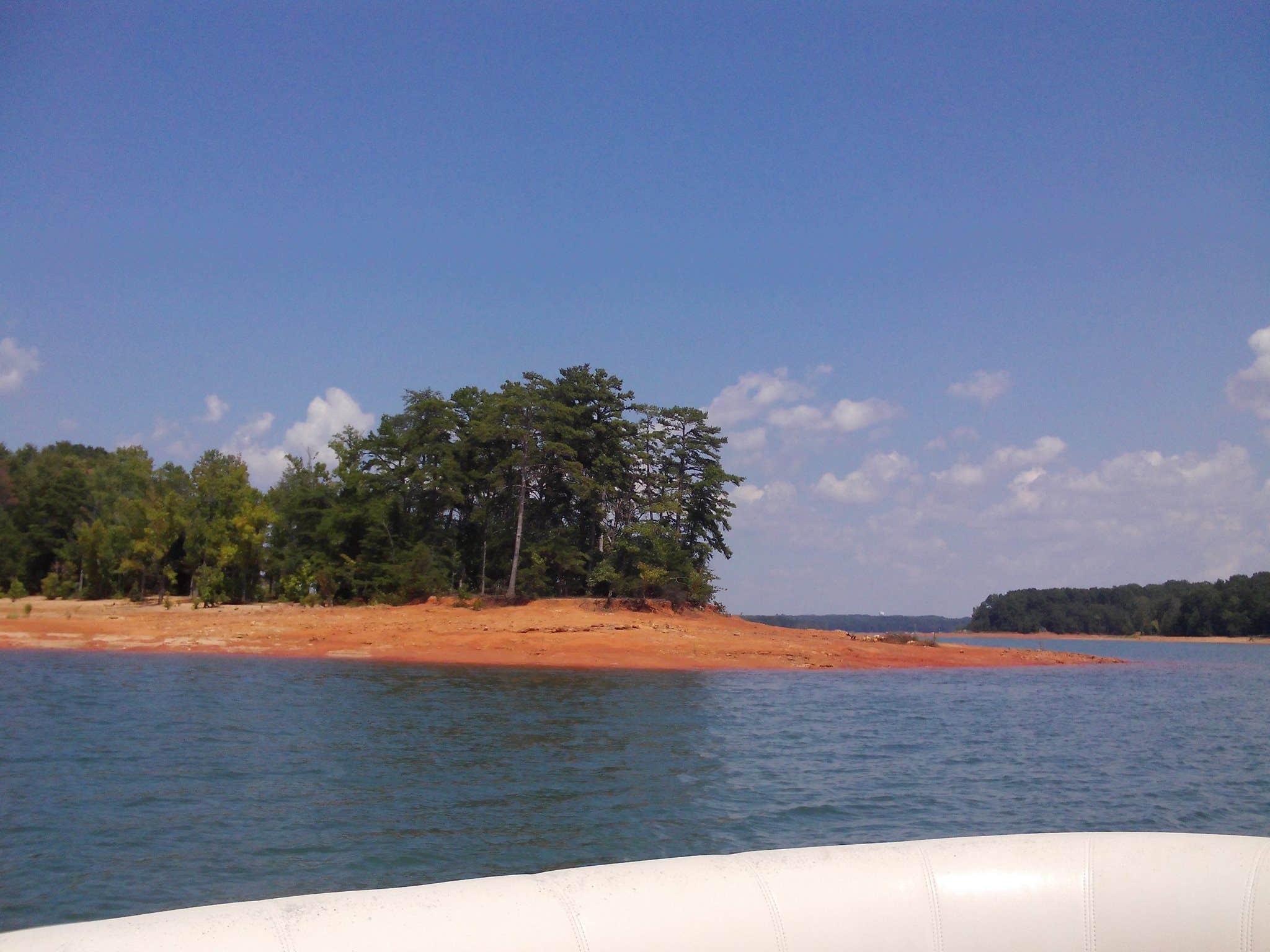 Camper submitted image from Springfield - Hartwell Lake - 2