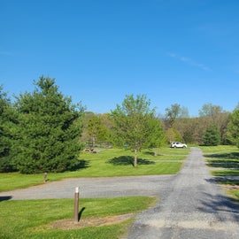 Tent sites on the left side and "hog pen tent sites" on the right