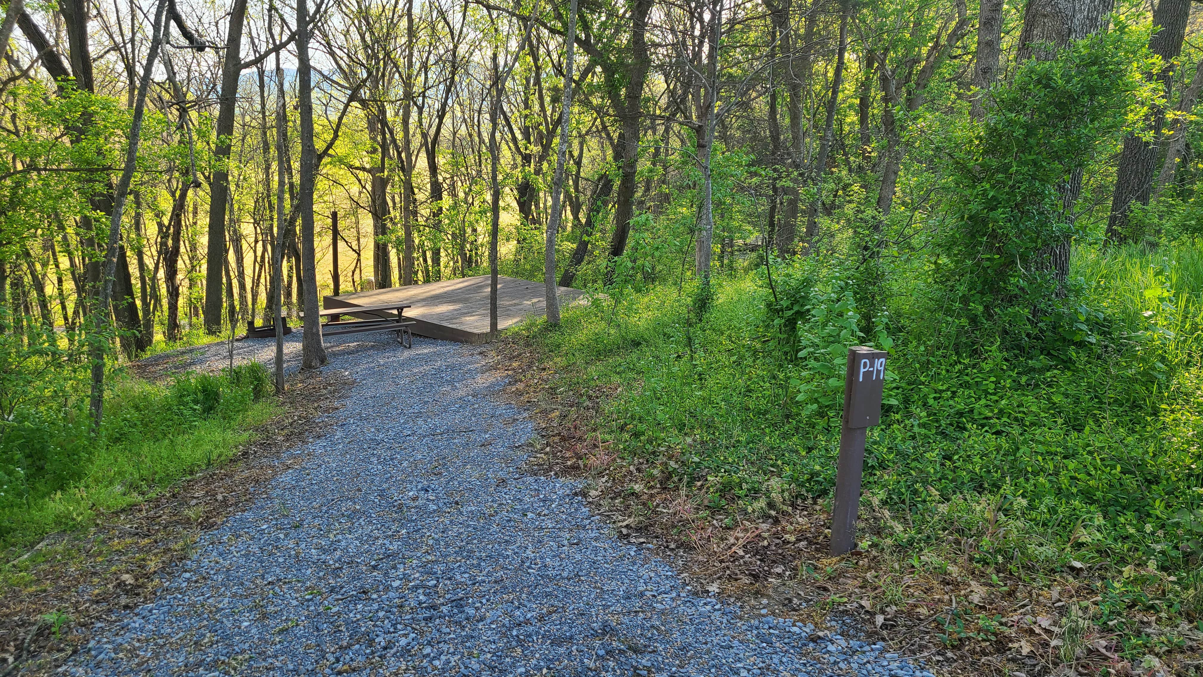 Camper submitted image from Luray RV Resort on Shenandoah River - 5