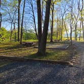 Review photo of Luray RV Resort on Shenandoah River by Melissa W., May 5, 2021