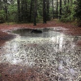 Review photo of Kiptopeke State Park Campground by Brittany B., May 5, 2021