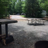 Review photo of Rudds Creek Campground by Marcy S., June 2, 2018